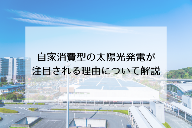 【法人向け】自家消費型の太陽光発電が注目される理由について解説