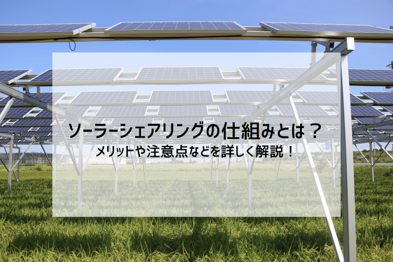 ソーラーシェアリングの仕組みとは？メリットや注意点などを詳しく解説！